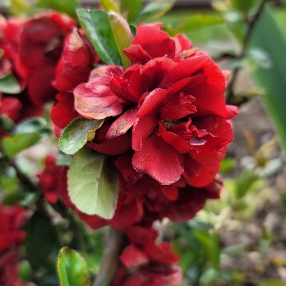 Live NOW PALLET PULLS Like this to be notified when we go live again - Picture 4 of 6